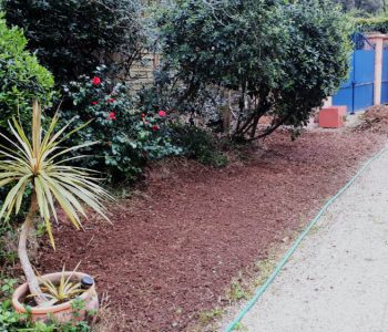 allee_de_gravier_bordee_de_terre_et_de_arbustes_comme_des_yuccas_des_camelias_rouges_des_rinces_bouteille_et_au_loin_un_portail_bleu