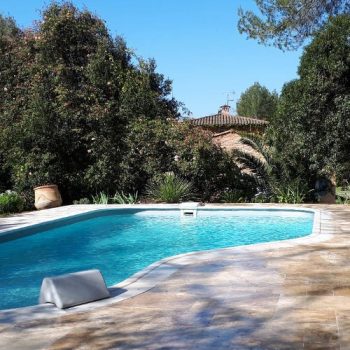 photo_de_piscine_entouree_de_carrelages_et_de_vegetation_avec_une_maison_au_fond