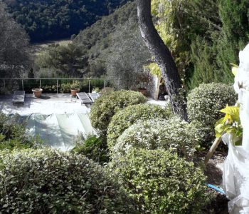 paysage_de_jardin_mediterraneen_arbustes_tailles_en_boule_au_dessus_de_piscine_couverte_de_bache_aec_vue_sur_des_colines_en_face