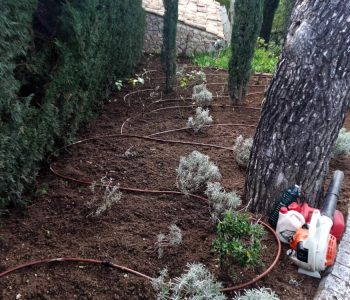 systeme_de_goutte_a_goutte_de_jardinier_passant_entre_des_petits_massifs_de_thym_et_de-romarins_et_autres_plantes_aromatiques_sur_de_la_terre_a_cote_de_pins_et_de_haie_et_le_taille_haie_pose_a_cote