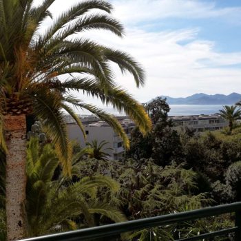 vue_dune_terrasse_sur_la_mer_mediterranee_avec_a_gauche_un_palmier_taille_par_un_jardinier_puis_un_ensemble_de_vegeration