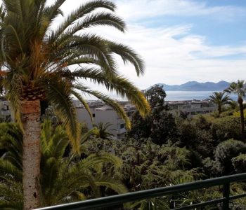 vue_dune_terrasse_sur_la_mer_mediterranee_avec_a_gauche_un_palmier_taille_par_un_jardinier_puis_un_ensemble_de_vegeration